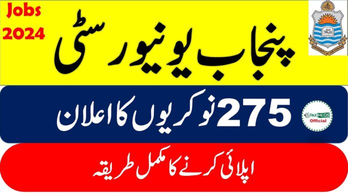 Punjab University Jobs 2023