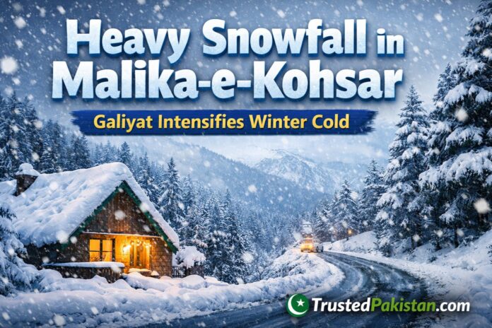 Heavy Snowfall in Malika-e-Kohsar | Galiyat Intensifies Winter Cold | trustedpakistan.com