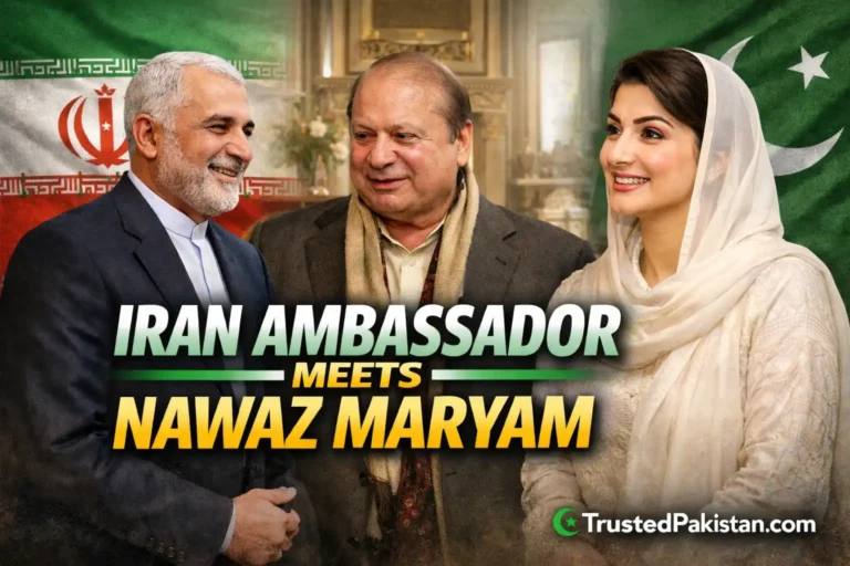 Iran Ambassador Meets Nawaz Maryam | trustedpakistan.com